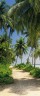 Фотообои KOMAR 92*220cm 2-1313 Way to the Beach ( 2 части)