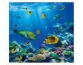 Фотообои MANTIBURI №169 Underwater World 300*280