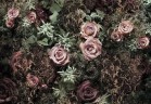 Фотообои KOMAR 368*254cm 8-980 Velvet (8 частей)