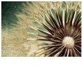 Фотообои MANTIBURI №73 Dandelion Poetry 400*280
