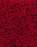 Фотообои KOMAR 194*270cm 4-077 Roses (4 части)